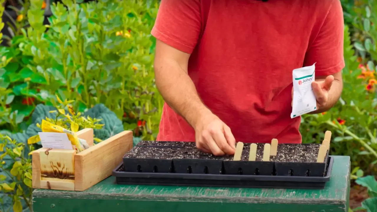 7 Vegetables to Start From Seed in February