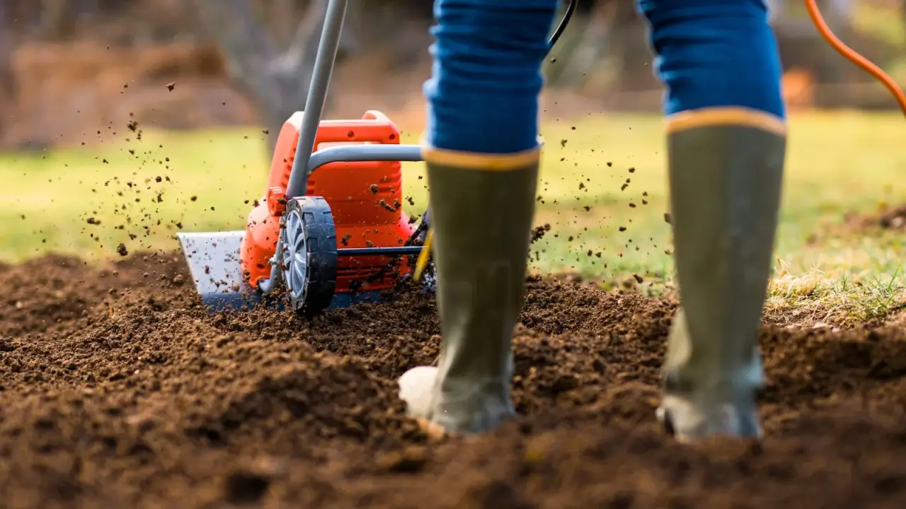 Your February Checklist: What to Do Now for Healthy Soil
